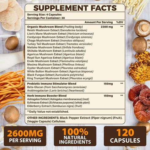 Tioewque 20 1 120 Brain Supplements for Memory and Focus, Mushroom Supplement, in Mushroom Complex with Lions Mane