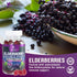 Immune Support Gummies - 120 Gummies, Powerful Sambucus Elderberry with Zinc & Vitamin C for Natural Support