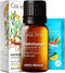 Gya Labs Helichrysum Oil for Skin - 100% Natural Essential Oil for Massages, DIY, Aromatherapy, Candle Making - 0.17 Fl