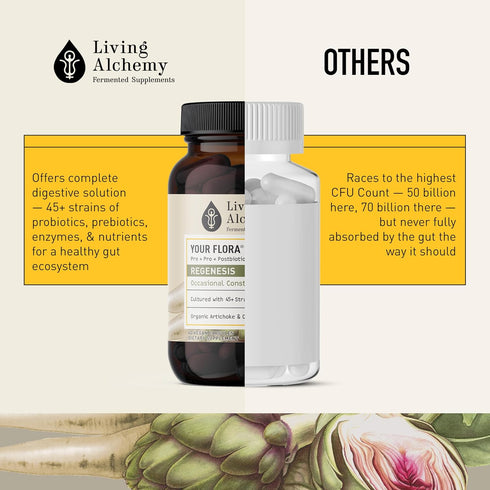 Living Alchemy Gut Health Supplements, Your Flora Probiotic Regenesis with Prebiotics, Digestive Enzyme, Vegan