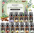Essential Oils Set - 12 Pcs Aromatherapy Kit for Diffuser, Massage, Soap, Candle Making, 5mL