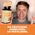 Organic Turmeric Curcumin & Black Pepper - High Absorption Joint Support Supplement with 1400mg Turmeric