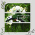 White Rose Flower Light Up Mouse Ear Headband, Floral Headwear for Women Girls, Wedding Party Costume