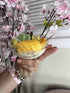Leilanis Beauty Leilanis Aromathic Tropical Candls (Fruit Yogurt with a Pineapple Fragance and Snow Pear)