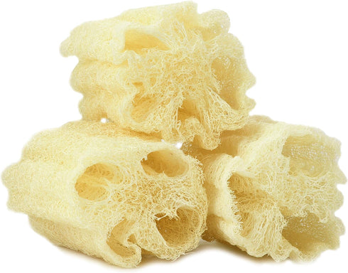 Egyptian Loofah Sponges Natural Exfoliating Body Wash Gourd, Loofah Bath Sponges for Skincare, Exfoliating Back Scrubber (Pack of 3-6.5 in.)