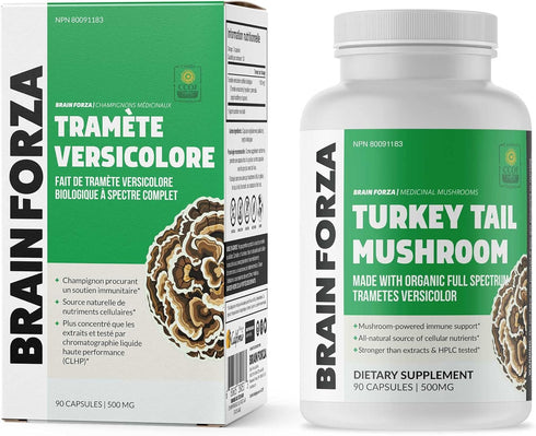 Brain Forza Organic Turkey Tail Mushroom Capsules, 90 Capsules, Immune Support