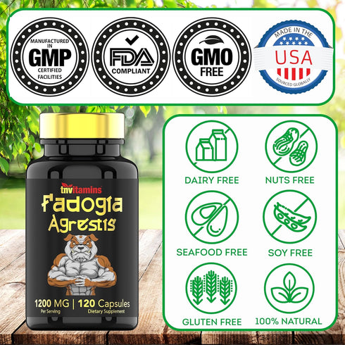 Fadogia Agrestis, 1200mg - 120 Capsules, Ultra-Potent Extract Supplement for Men, Energy, Power, Strength