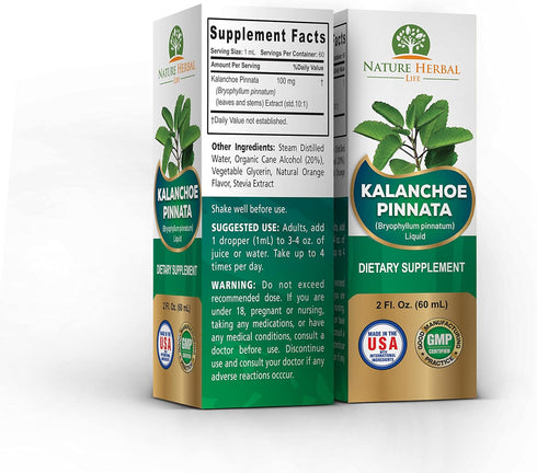 Nature Herbal Life 1 2 oz Kalanchoe Pinnata (Bryophyllum Pinnatum), Glycerite, Dried Leaf and Stem Liquid Extract.