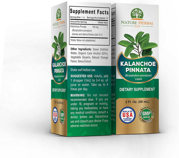Nature Herbal Life 1 2 oz Kalanchoe Pinnata (Bryophyllum Pinnatum), Glycerite, Dried Leaf and Stem Liquid Extract.