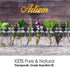 Artizen 30 ml Oil, Cleaning Blend of Essential Oils, 1 fl oz for Kitchen/Home/Bathroom Cleaner