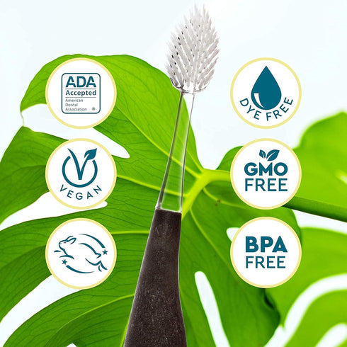 Pack 1 RADIUS Toothbrush Source Floss Brush BPA Free & ADA Accepted Improve Gum Health & Reduce Gum Issues - Super Soft