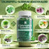 Sugar Free Chlorophyll Gummies with ACV, Sea Moss & Elderberry, Immune & Digestion Support, 2 Pack
