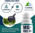 MARS WELLNESS MG+ Cooling Roll on Pain Relief (3 oz) - Fast Acting Arnica Roll on with 5% Menthol for Sore Muscle Pain