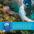 Seavenger Ocean Kiss Reef-Safe Sunscreen - SPF 30-50 with Jellyfish Sting Protection