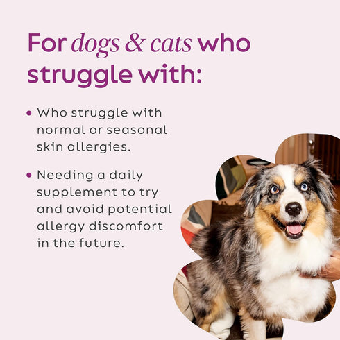 Immune 2.64 oz Immune Immunity, 7 Super Snouts Super Shrooms Mushroom Support Supplement for Dogs and Cats, - Made