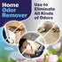 Goodbye Naturally Home Odor Remover, Odor Neutralizer Spray, 14 oz Continuous Spray Cans