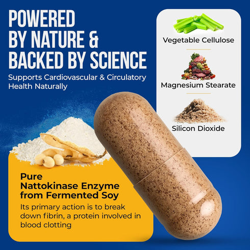 Nature's Nectar Organic Nattokinase 200mg – Double Strength 4000 fu Natural Blood Thinner, 90 Capsules