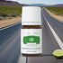 Young Living Lime Vitality Essential Oil 5ml - Food-Grade for Culinary Creations and Flavoring Dishes