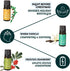 Set Set 6 Cozy Folkulture Essential Oils for Diffuser | of Aromatherapy Oils for Home | Peppermint, Candy, Apple Tart