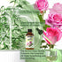 Rose Fragrance Oil 4oz for Aromatherapy Diffuser, Soap, Candle Making Scents