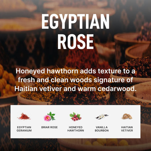 Laundry Sauce - Laundry Fabric Softener, Egyptian Rose