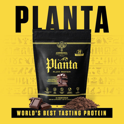 Ambrosia Planta Premium Organic Plant-Based Protein | Vegan & Keto Friendly | 14 Servings | Melted Chocolate