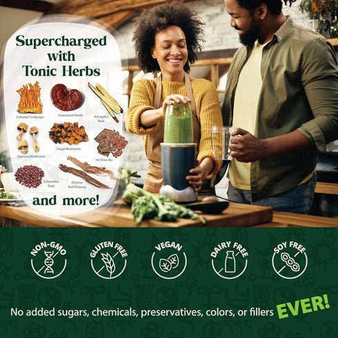 Packet 91 Dragon Herbs Tonic Alchemy Superfood Greens Powder - Single Serve - Ingredients: Tonic Herbs, Ashwagandha