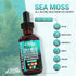 Clean Nutraceuticals Sea Moss Liquid Drops with Black Seed Oil, Ashwagandha, Burdock Root & Bladderwrack - Organic