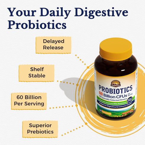 Vitalitown Probiotics + Prebiotics - 60 Billion CFUs, 19 Strains, 60 Delayed Release Veg Caps for Digestive Health