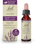 Bach Original Flower Remedies, Heather for Empathy, Natural Homeopathic Flower Essence, Vegan, 10mL Dropper
