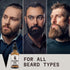Striking Viking Beard Oil for Men, 2 Fl Oz, Unscented Naturally Derived Conditioner for Beard Growth & Softening