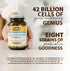 Flora Super 8 Hi-Potency Probiotic, Daily Gut & Digestive Health, 42 Billion CFU, 60 Capsules, Keep Chilled