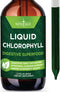 NEW AGE Chlorophyll Liquid Drops - Natural Concentrate for Energy Booster, Digestion, and Immune Support