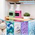 Legrape 6 Pack 54oz Laundry Detergent Dispenser, Plastic Fabric Softener Dispenser for Powder & Bleach, Liquid Laundry