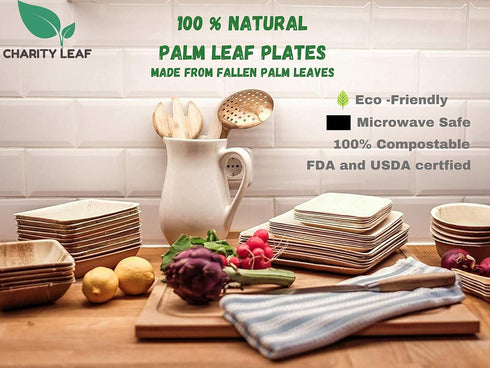Disposable Palm Leaf 14" x 10" Trays (10 pieces), Eco-Friendly Dinnerware for Weddings, Catering, Events