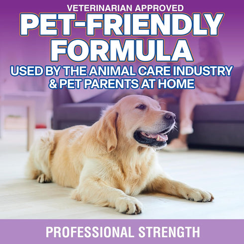 Stain and Odor Remover, 16 oz Ready to Use Spray, Lavender Scented Pet Odor Eliminator for Carpet and Furniture