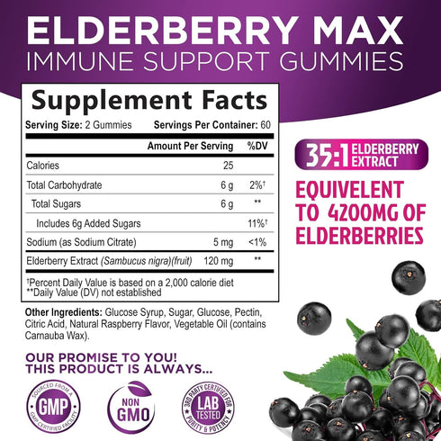 Sambucus Elderberry Gummies for Adults, Teens & Kids - Super Concentrated 35:1 Extract, Equivalent to 4200mg of Elderberries - Daily Immune Support Black Elderberry Vitamin Supplement - 120 Count