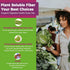 Fiber Gummies 10g Prebiotic Fiber Supplement, Sugar Free, Probiotics & 100mg Betaine for Digestive Health, 120ct