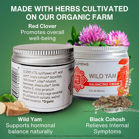 Wild Yam Balancing Cream, 2 OZ - 1st Place Winner at 2023 International Herb Symposium for Creams