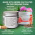 Wild Yam Balancing Cream, 2 OZ - 1st Place Winner at 2023 International Herb Symposium for Creams
