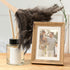 Superio Ostrich Feather Duster: Fluffy Dust Remover with Wooden Handle, Reusable for Home Cleaning