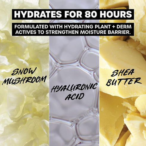 THAYERS Soak It Up 80HR Liquid Moisturizer, Face Moisturizer with Hyaluronic Acid and Snow Mushroom, 2.5 Oz