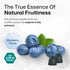 Pine Bark Extract Gummies - 300 mg French Maritime Pine Bark Extract, 60 Vegan Pectin-Based Chews, Antioxidant