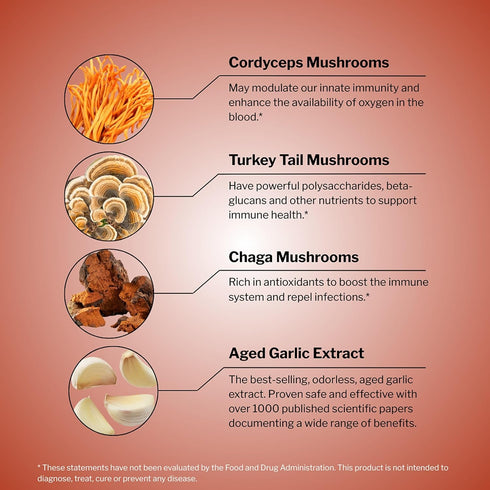 Immune 60 Kyolic Mushrooms+ - Mushroom & Herbal Dietary Supplement - Wellness & Energy Support* - Chaga, Cordyceps