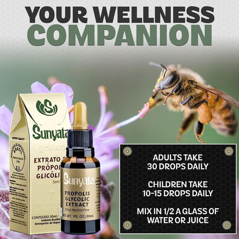 Brazil Brazilian Green Bee Propolis Liquid Extract, No Alcohol, 30ML (1 Pack)