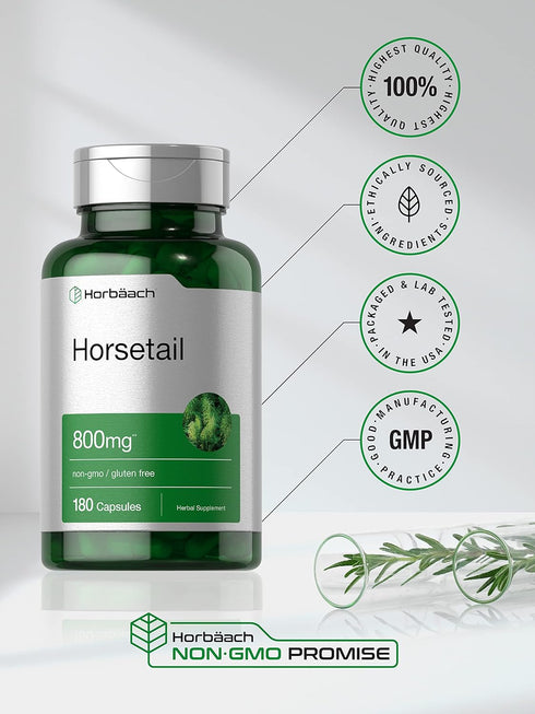 Horbaeach Horsetail Herb Extract Capsules 800mg | 180 Count | Non-GMO, Gluten Free