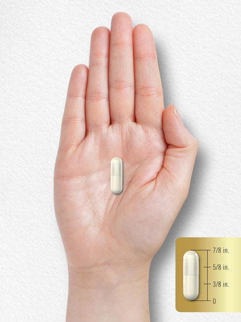Carlyle Acetyl L-Carnitine HCL Capsules 1000mg | 100 Count | Gluten Free, Non-GMO Supplement