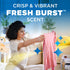 HAMMER 24 oz ARM & Odor Blasters In-Wash Laundry Scent Booster, Eliminates Tough Odors, Fresh Burst Scent, Bottle