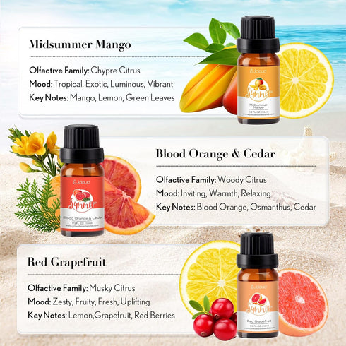 Summer Set Set 6 Summer 6x10mL JCLOUD Fragrance Oils | Hotel Diffuser Oil & Home Luxury Scents - Gift of Essential Oil