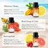 Summer Set Set 6 Summer 6x10mL JCLOUD Fragrance Oils | Hotel Diffuser Oil & Home Luxury Scents - Gift of Essential Oil
